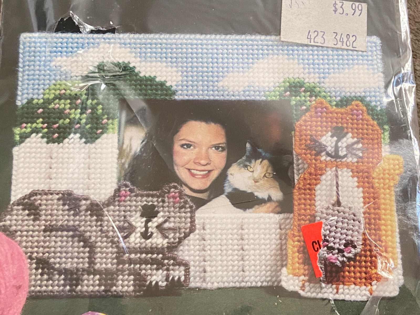 Bucilla Plastic Canvas Needlepoint Kit ~ Fun Frames ~ Love my Cat ~ Craft Kit