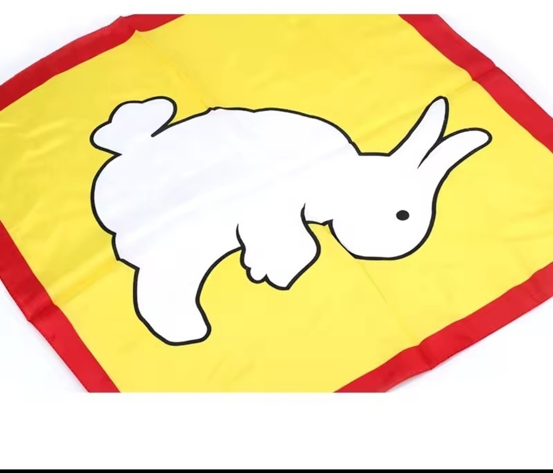 Magic Trick Rabbit to Duck Changing Silk ScarF