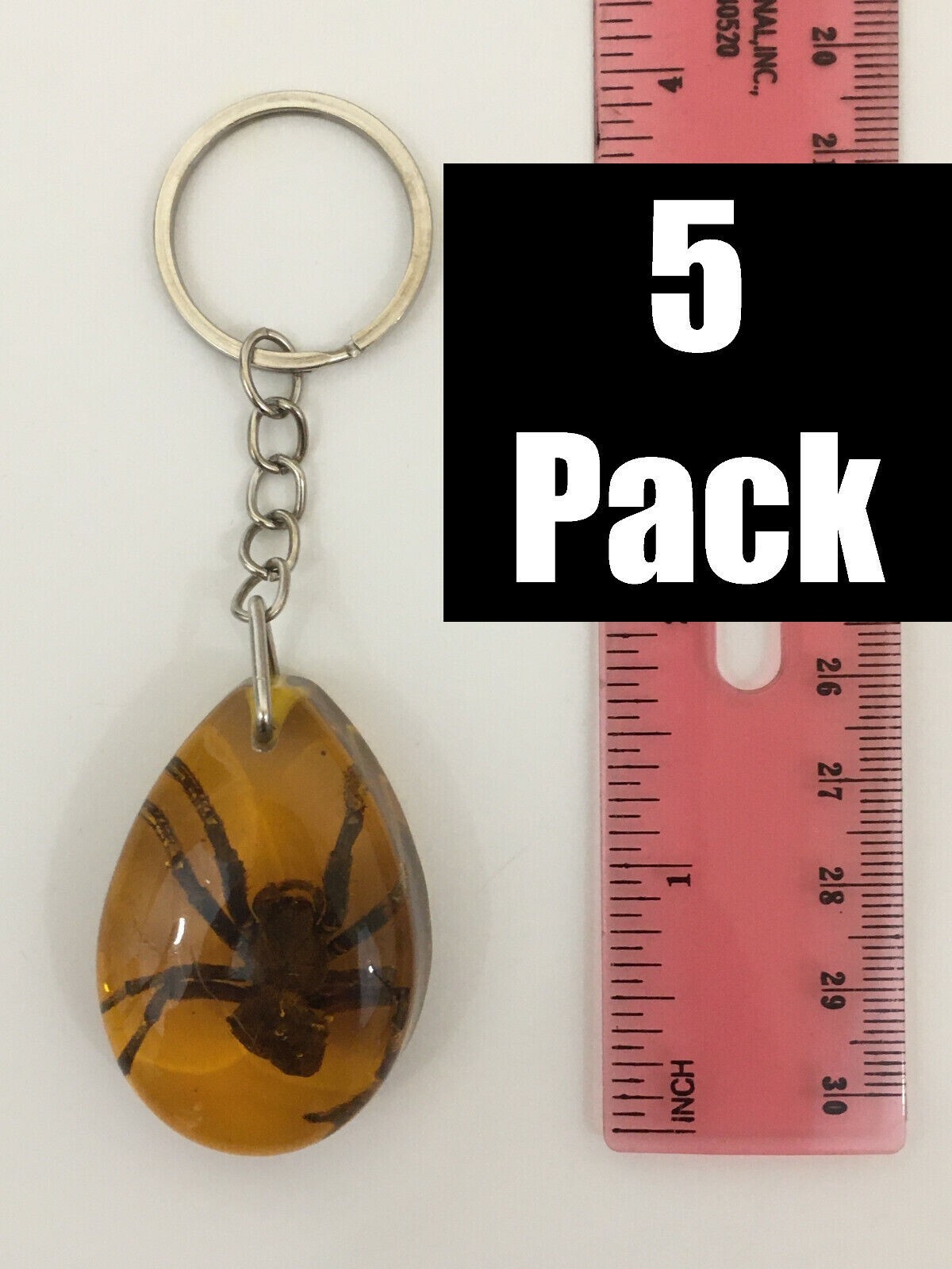 Real Spider Keychain - Minor Defects - Taxidermy Insects in Resin - 5 PACK