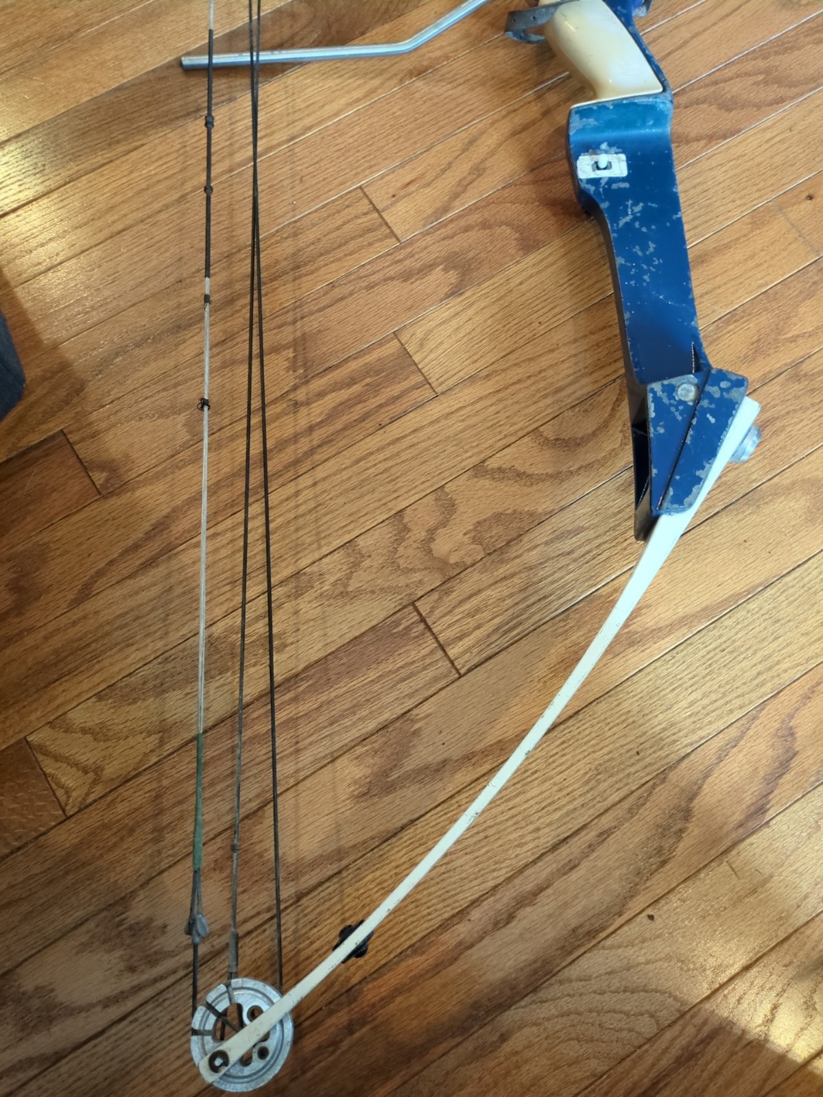 hoyt Easton contender compound bow