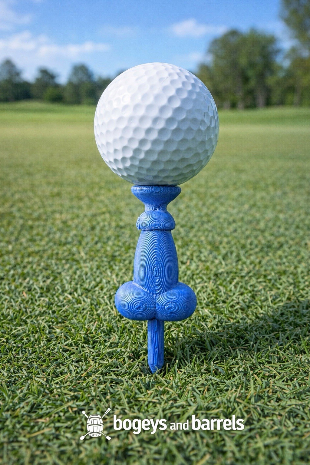 Funny Golf Tees 2 Pack – Novelty Adult Golf Tees – 3D Printed