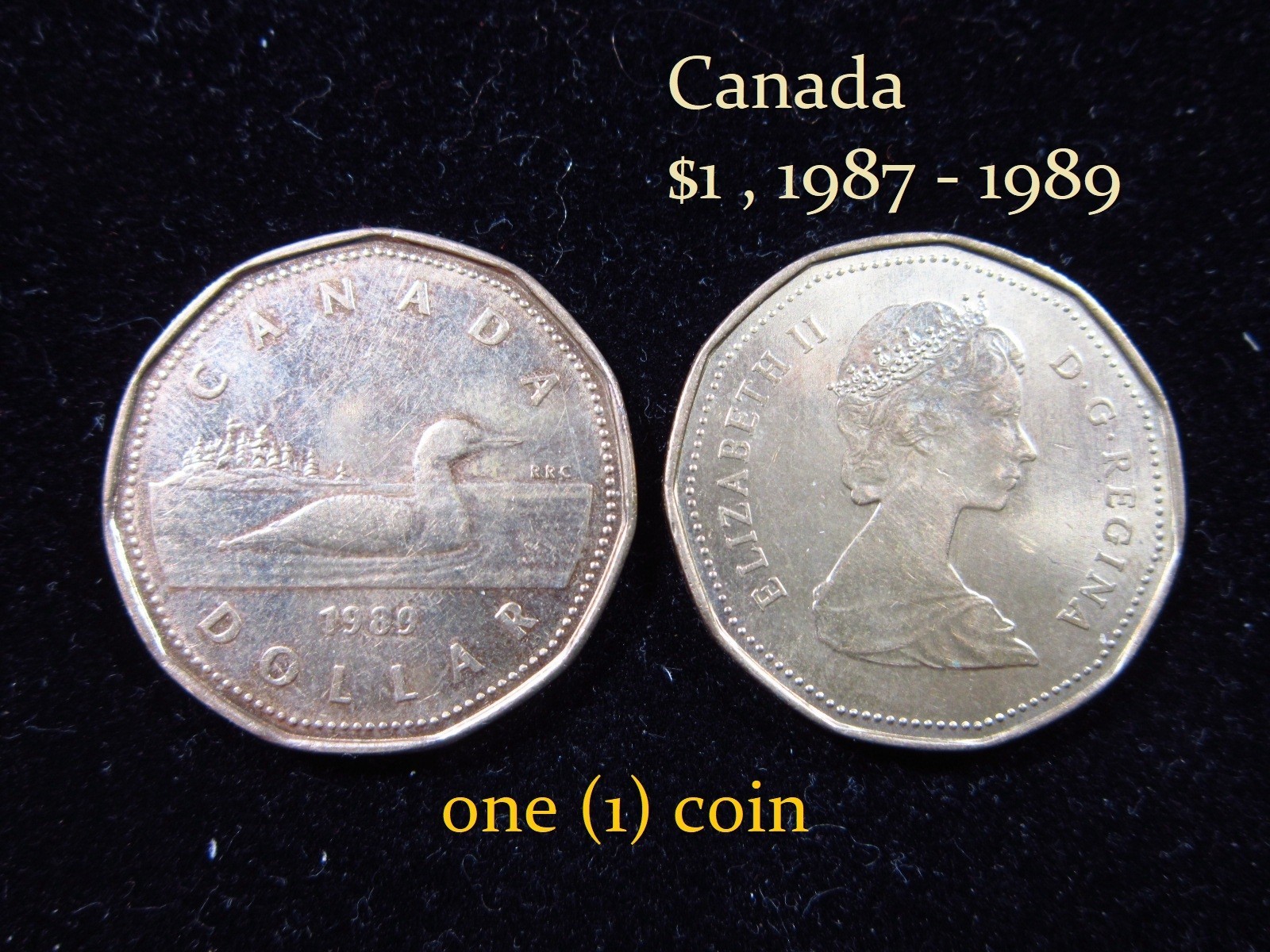 Canada $1 Dollar 1987 - 1989 Canadian Loon Duck Elizabeth II i3037 Coin