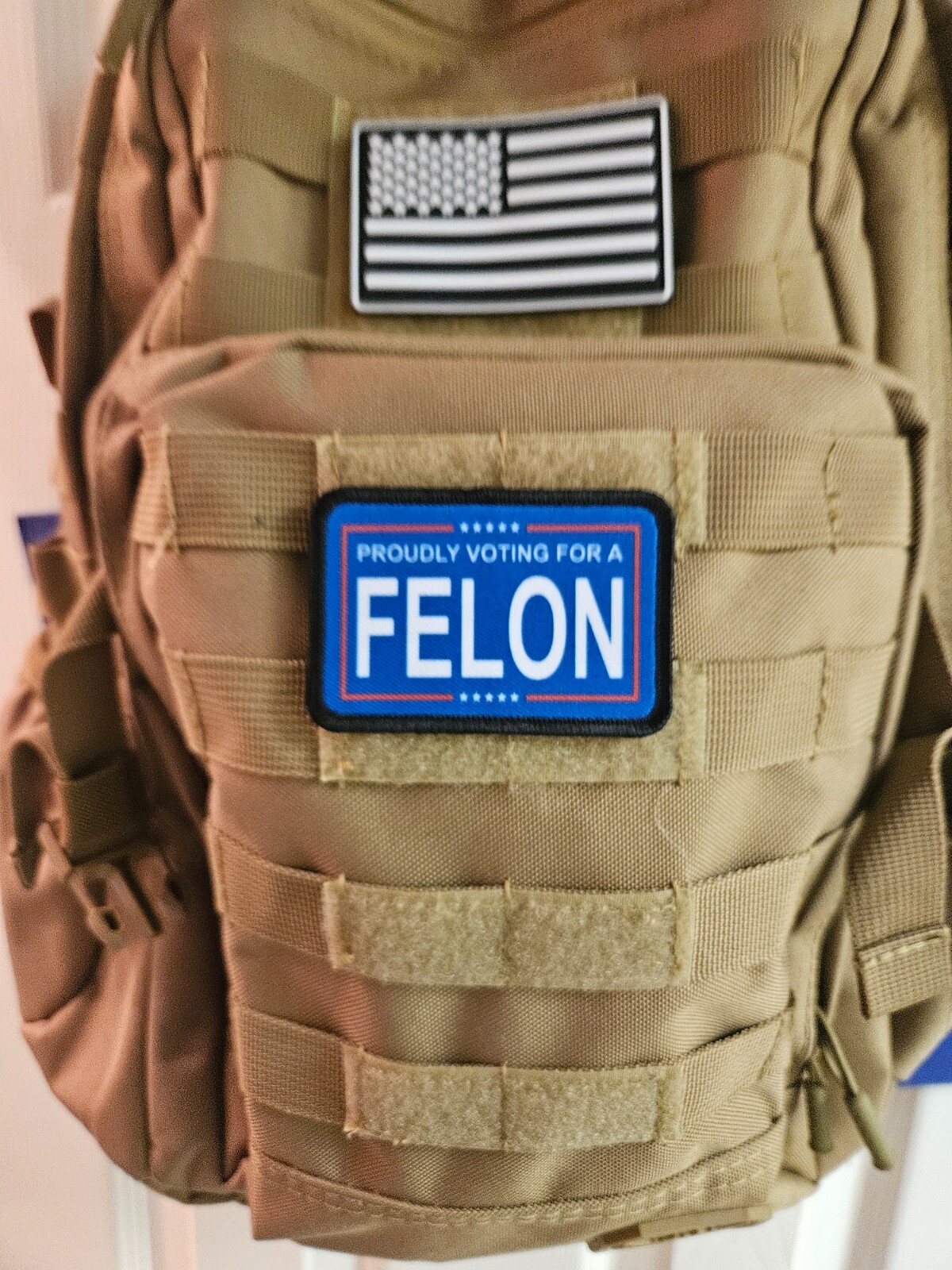 Proudly voting for a felon 2"x3" hook & loop backing patch funny meme