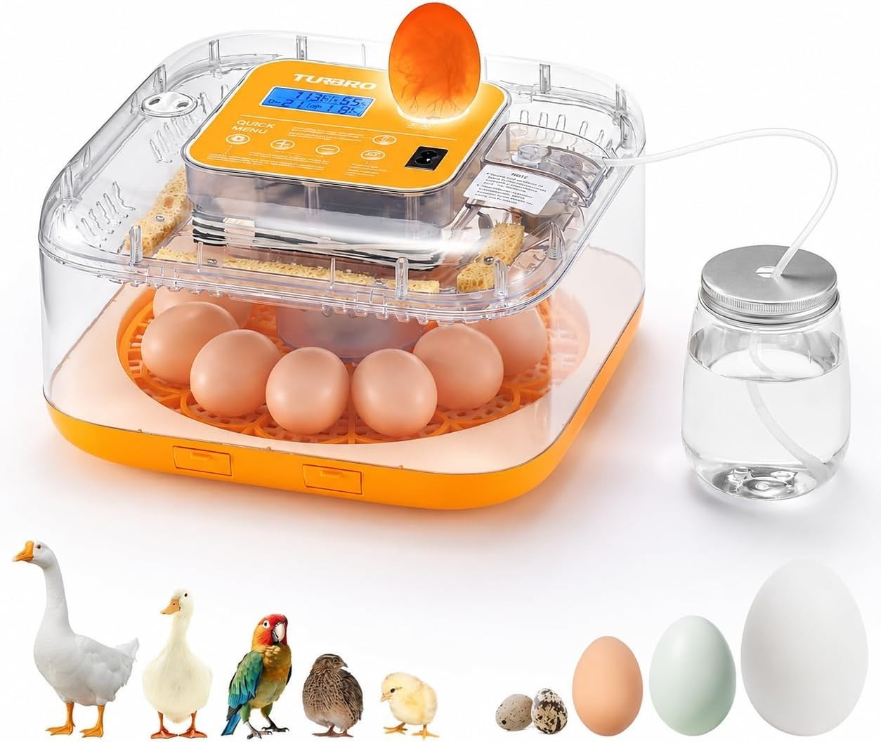 Incubator for Hatching Eggs, Automatic Turning, Temperature & Humidity Contro...