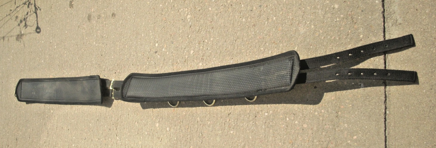 10-Ring Neoprene Lined Nylon Surcingle for Training/Lunging/Ground DrivingHorses