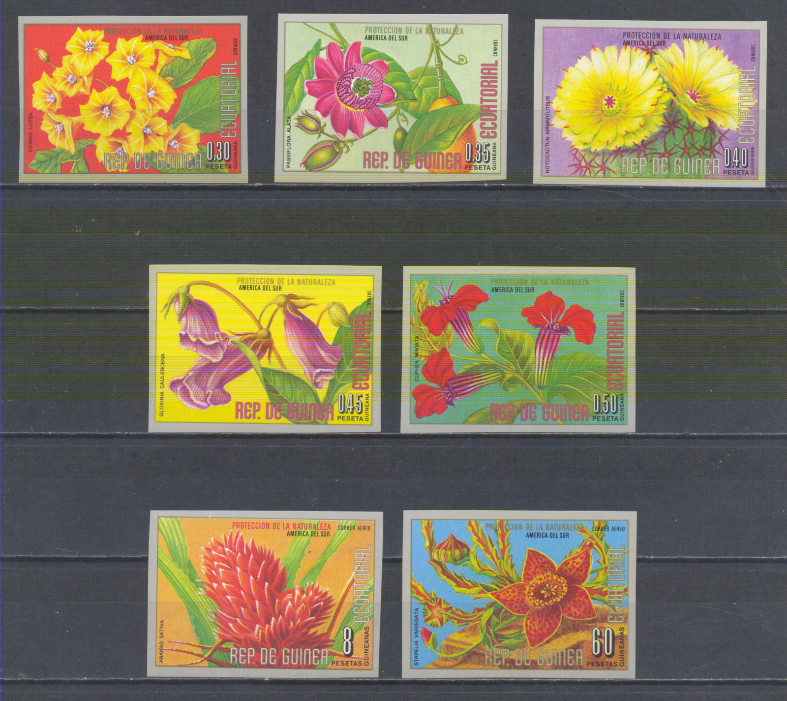 W EQUATORIAL GUINEA 0911B-917B SOUTH AMERICA FLOWERS IMPERFORATED SET