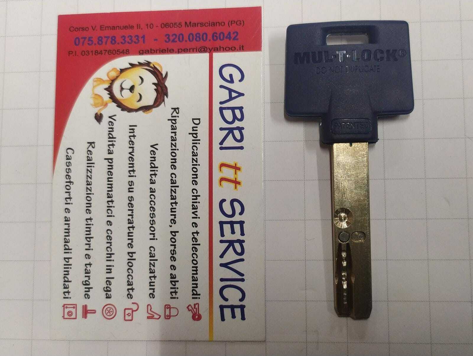 MulTLock 206 Interactive Plus 206S+ PROTECTED KEY WORKED CARD PROPERTY