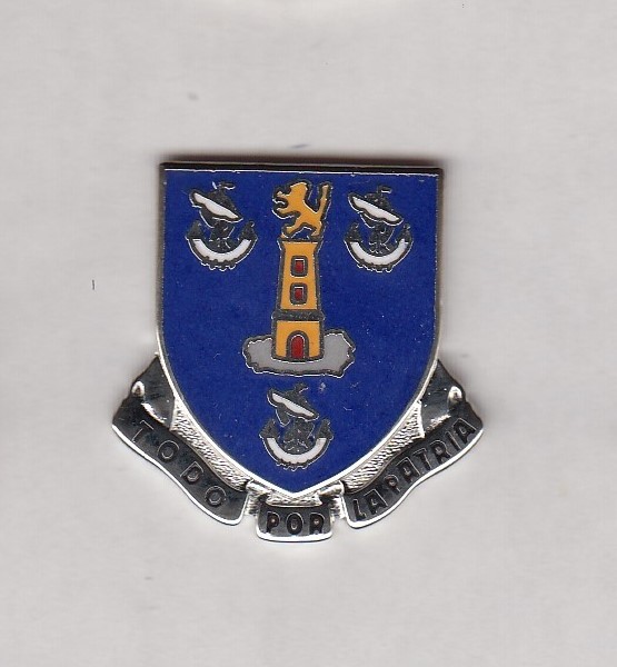 US ARMY 295th INFANTRY REGIMENT crest DUI badge c/b clutchback G-23
