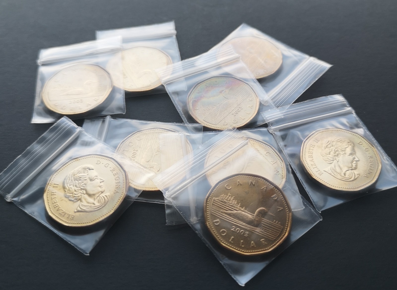 *** CANADA  LOONIE  2003  NEW  EFFIGY *** FROM  MINT  ROLL *** BETTER  DATE ***