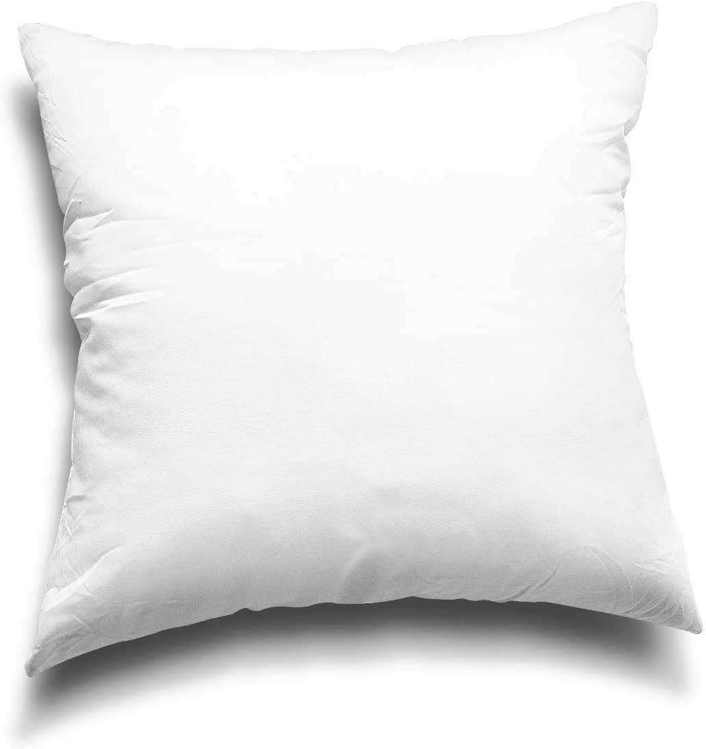 Throw Pillow Inserts, Set of 2 Lightweight Down Alternative Polyester Pillow, Co