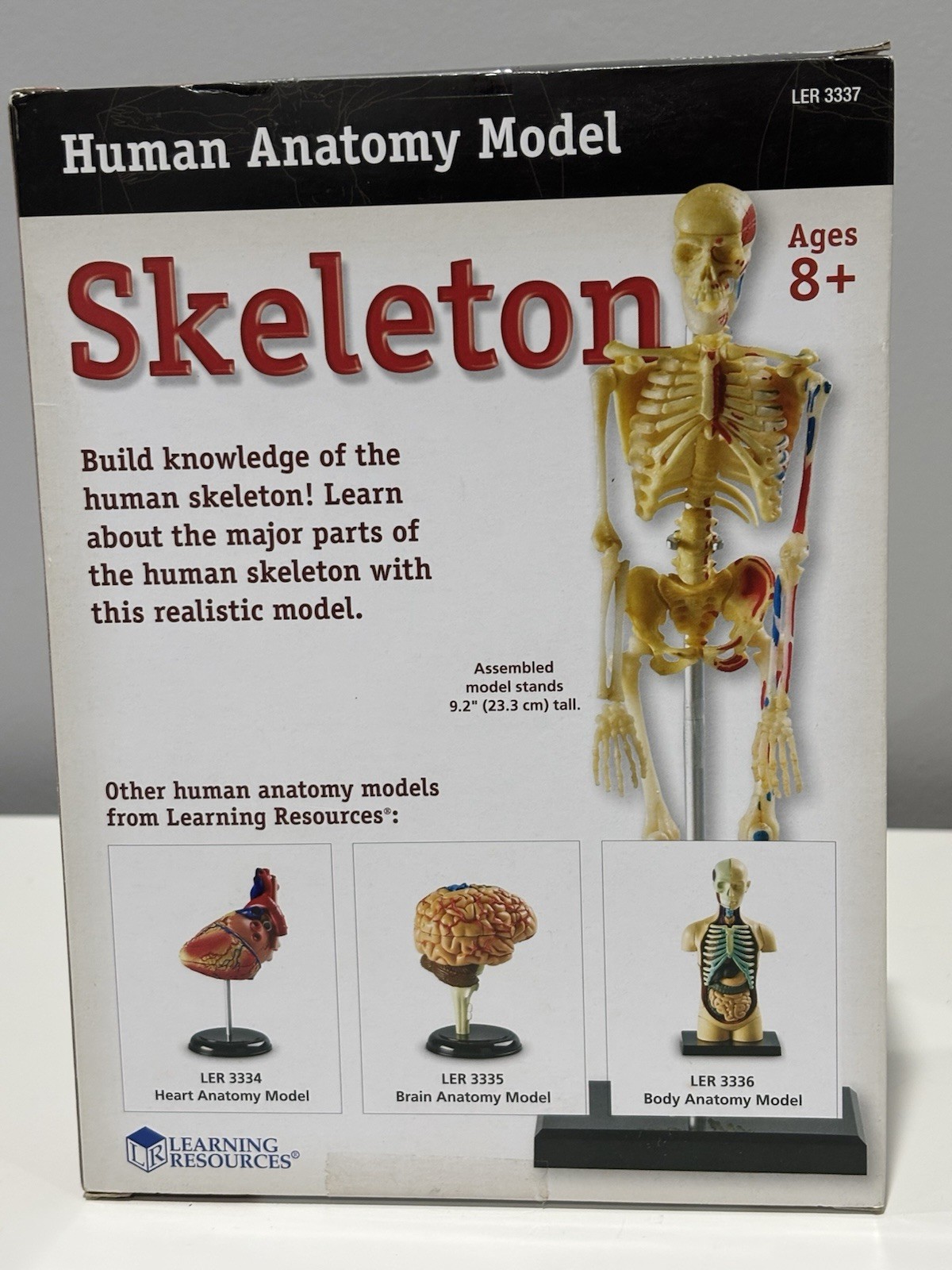 NEW Learning Resources Skeleton Model For Children 41 Pieces
