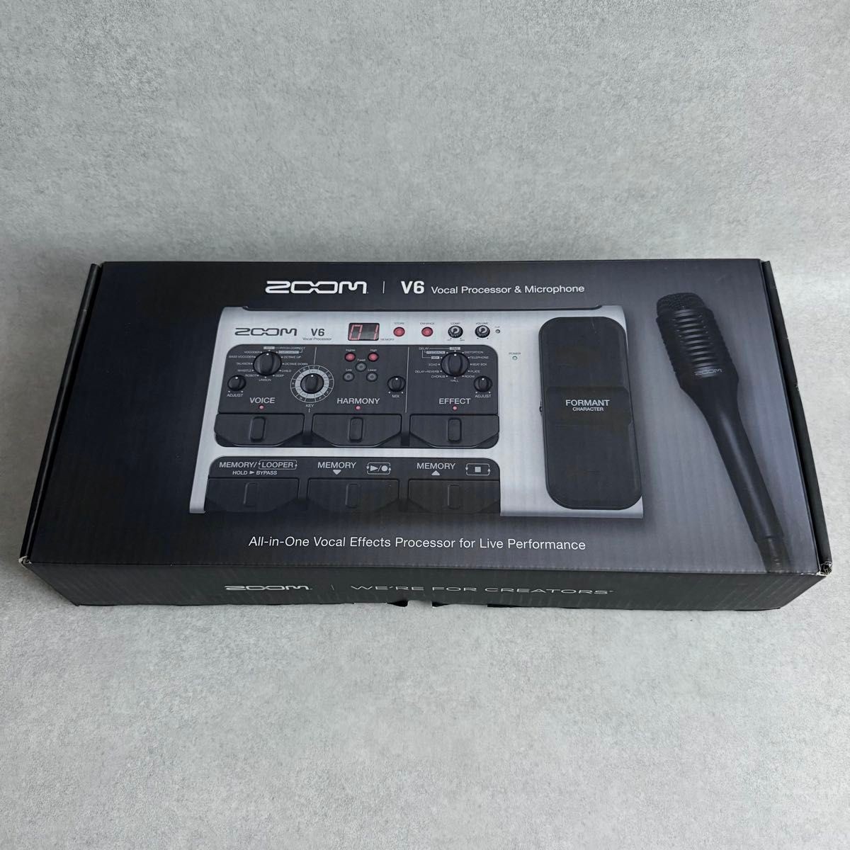 Zoom V6 Vocal Processor SGV-6 Mic Box AC Adapter Manual Tested from Japan