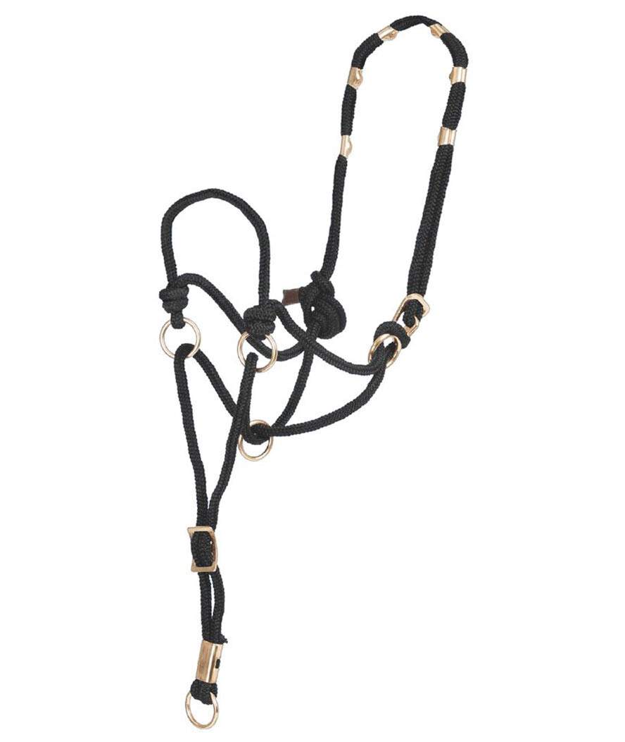 Training Halter