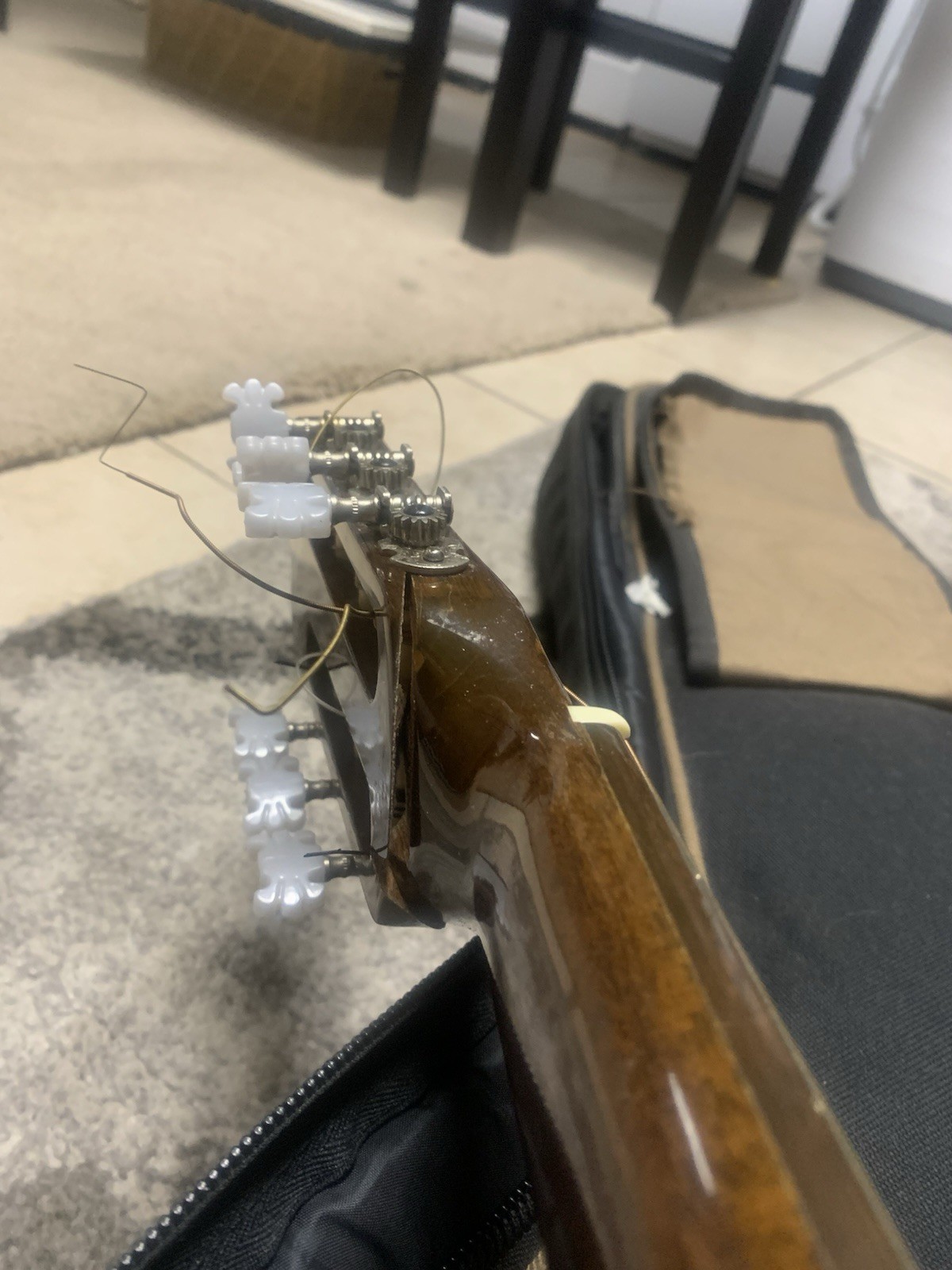 Hondo Model H321 Classical Guitar