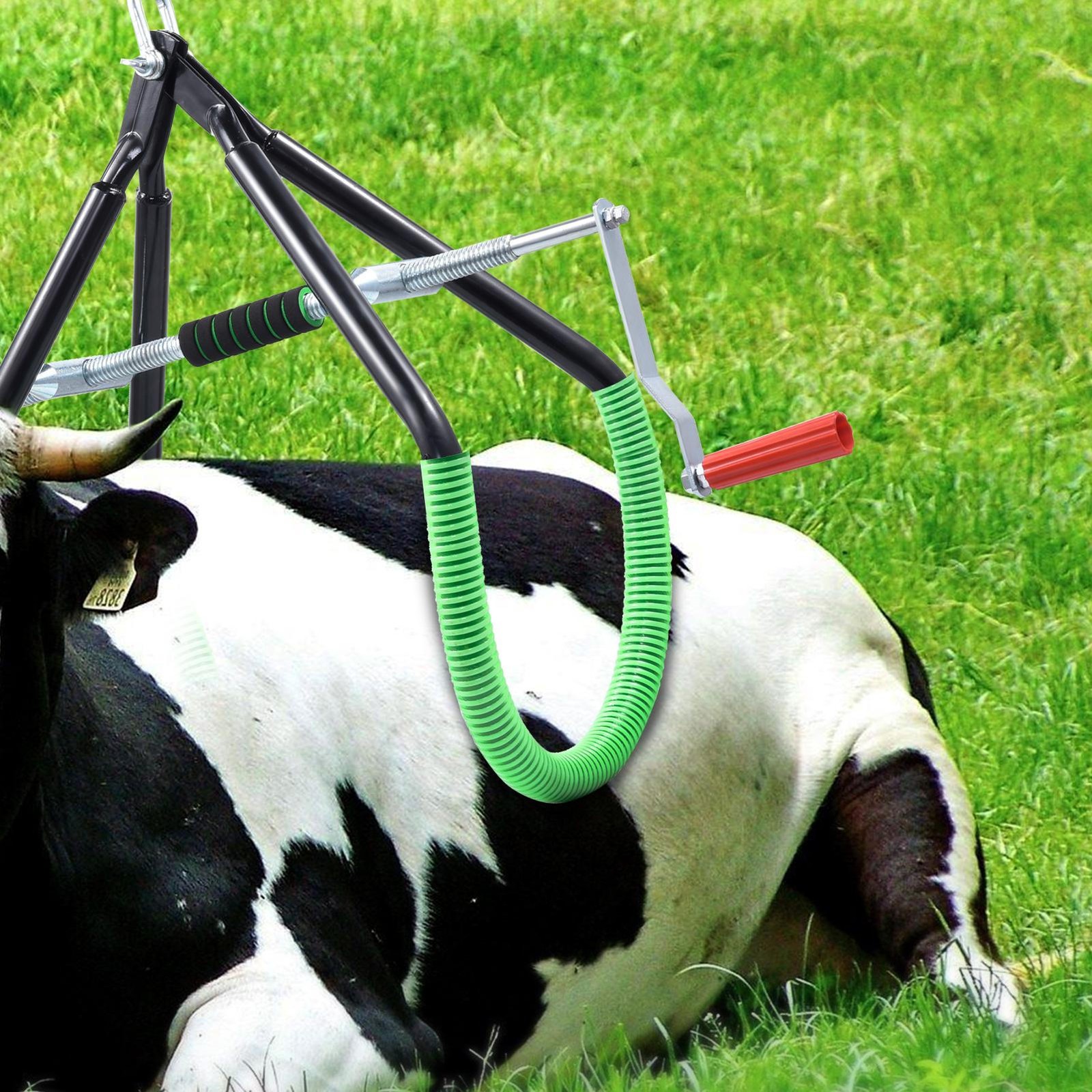 Lame Cow Hip Lift 2204lbs Cow Lifting Frame Cow Hip Lifters Calving Milking