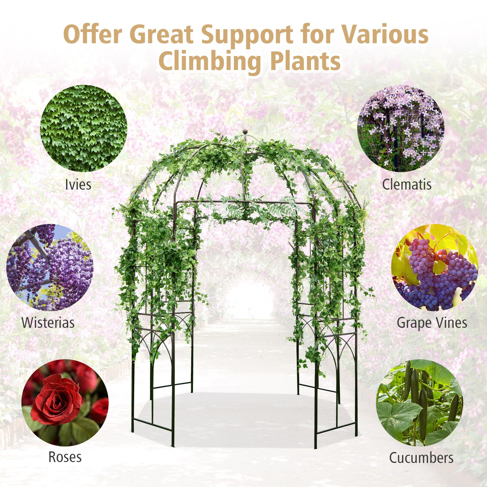 Birdcage Shaped Arbor Durable Garden Arch Arbor for Peaceful Meditation Wedding