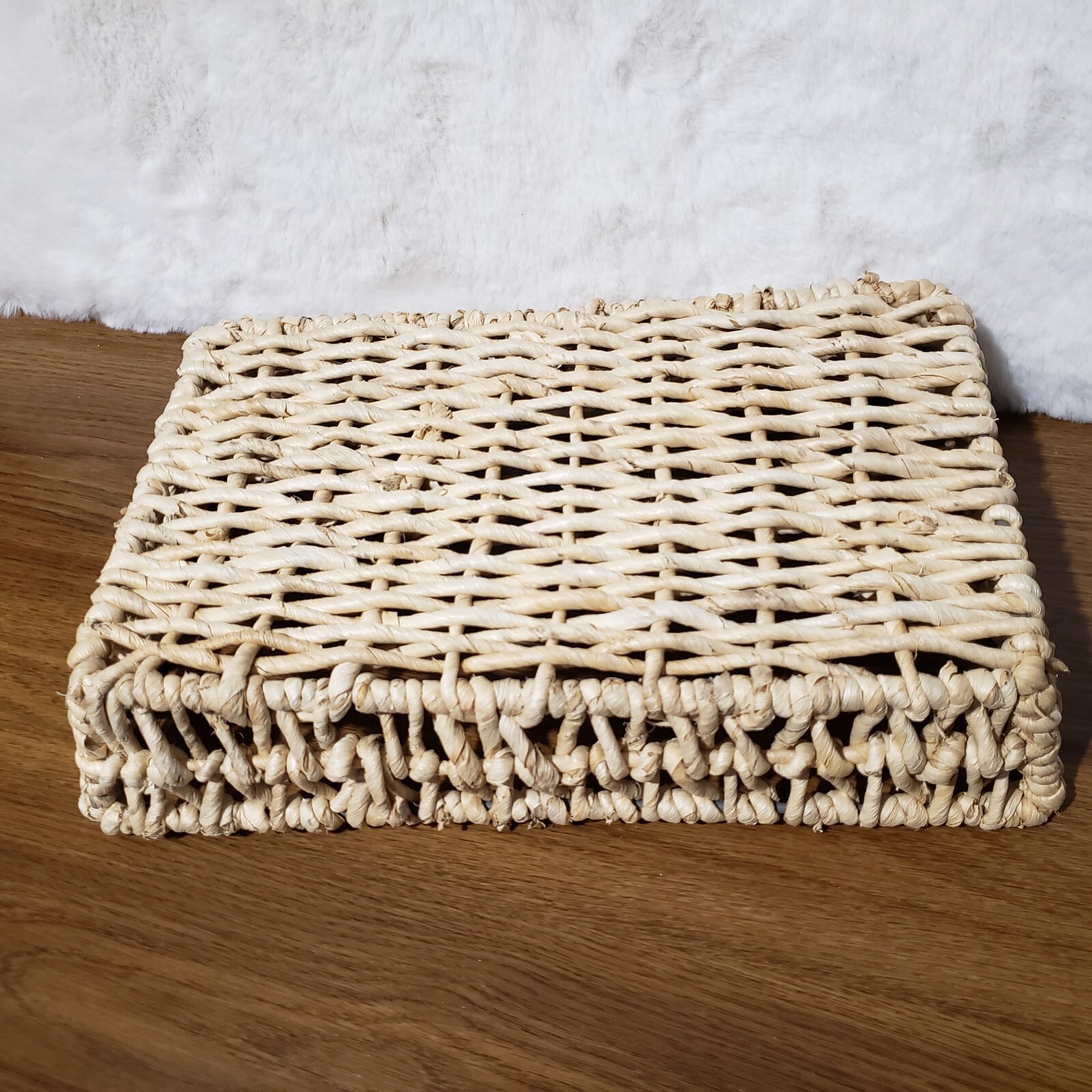 Wicker Rattan Basket Serving Tray Rectangle Metal Frame Storage Decor Woven
