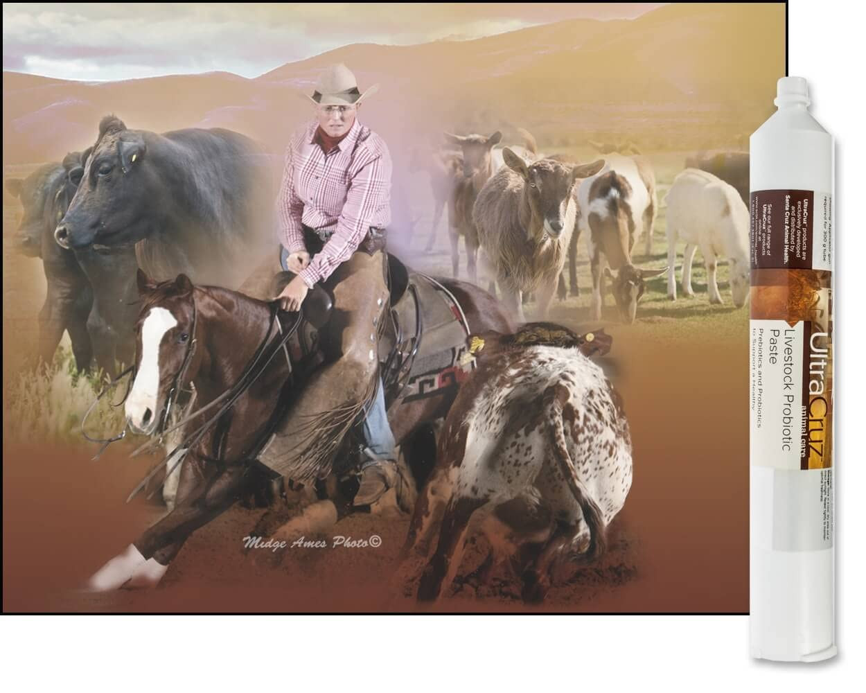 Livestock Probiotic Supplement, 60 Ml Paste