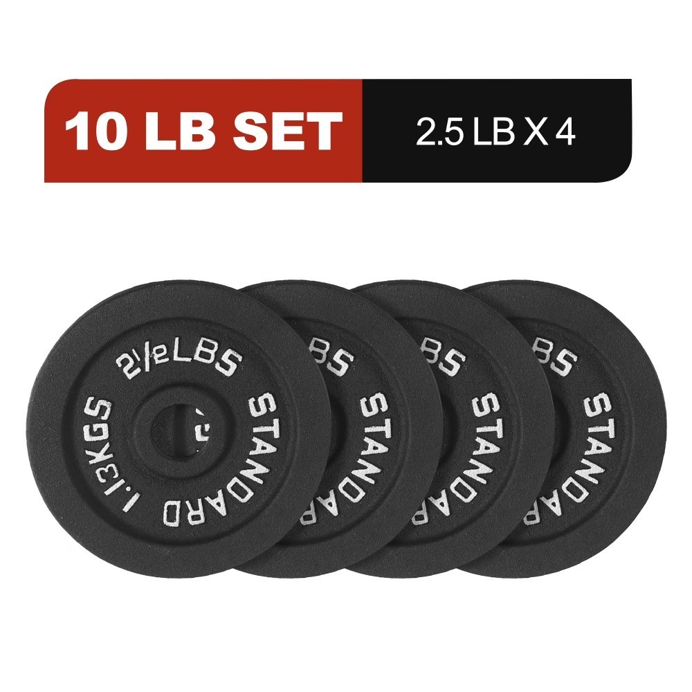 Cast Iron Weight Plates, 1-Inch Hole, 2-Pack or 4-Pack Options (2.5LB–45LB)