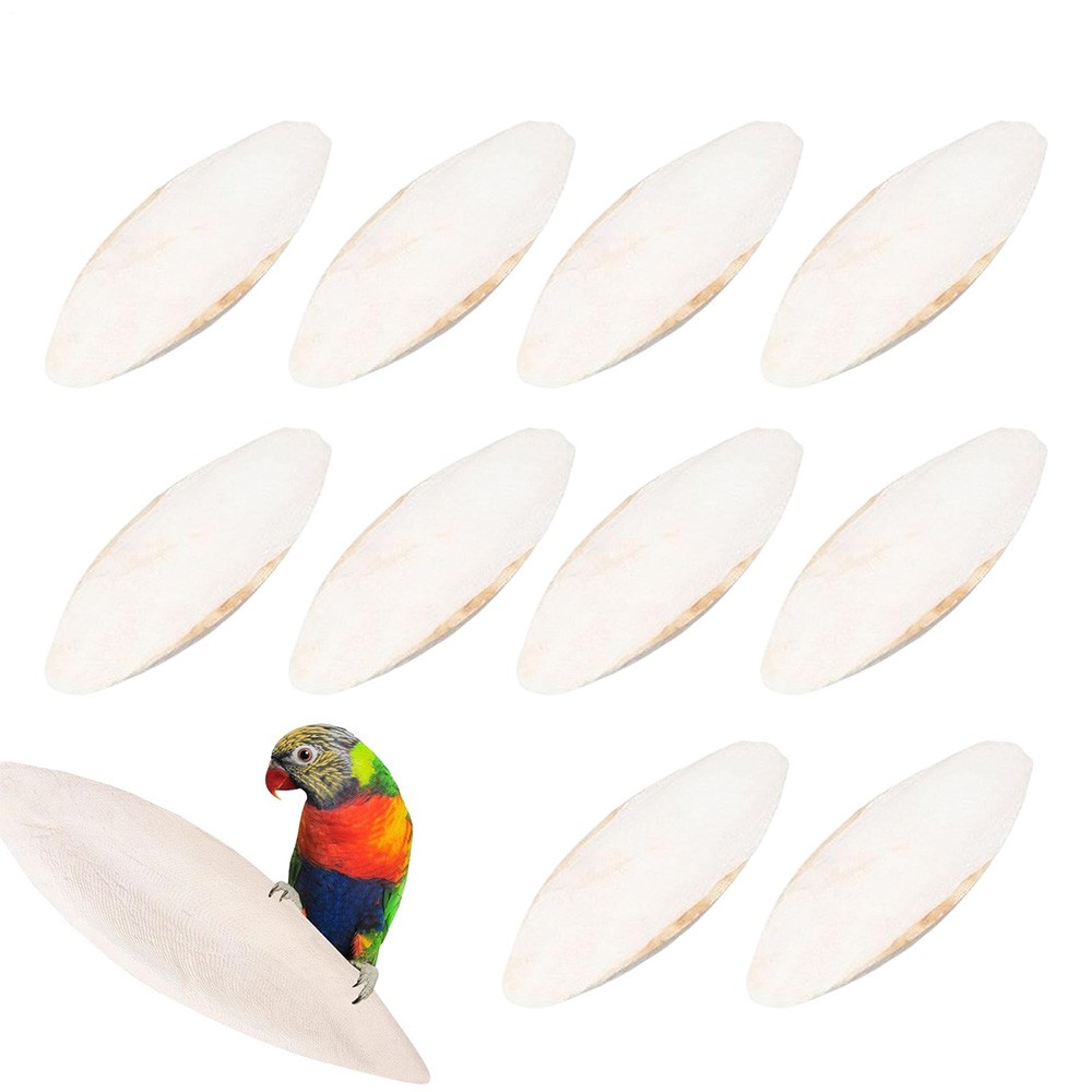 10PCS Cuttlebone Cuttlefish Bone Sepia Cuttle Fish Pet bird food Calcium Set