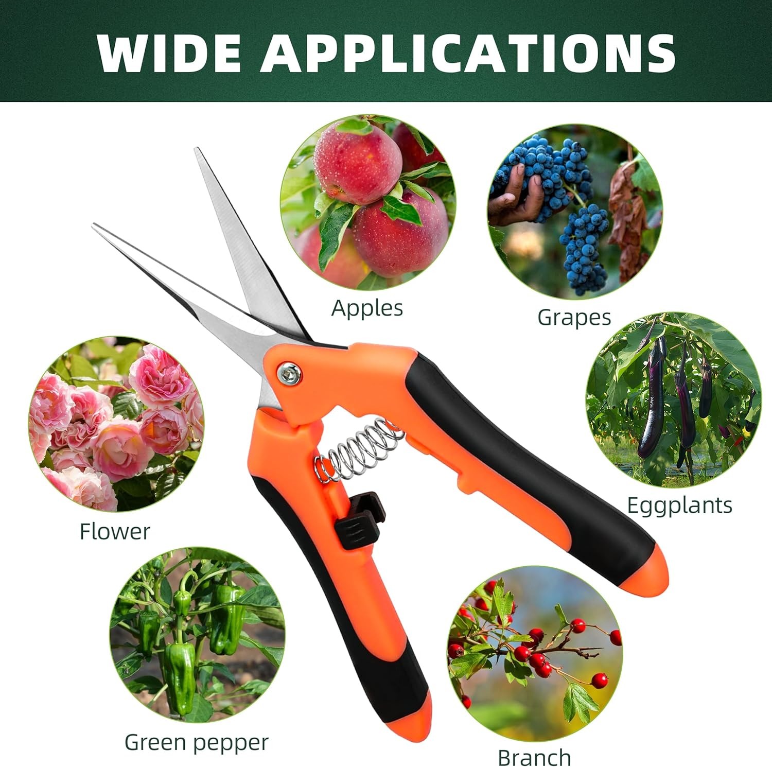 3-Pack Stainless Steel Pruning Shears, Snips Yellow, Orange, Black