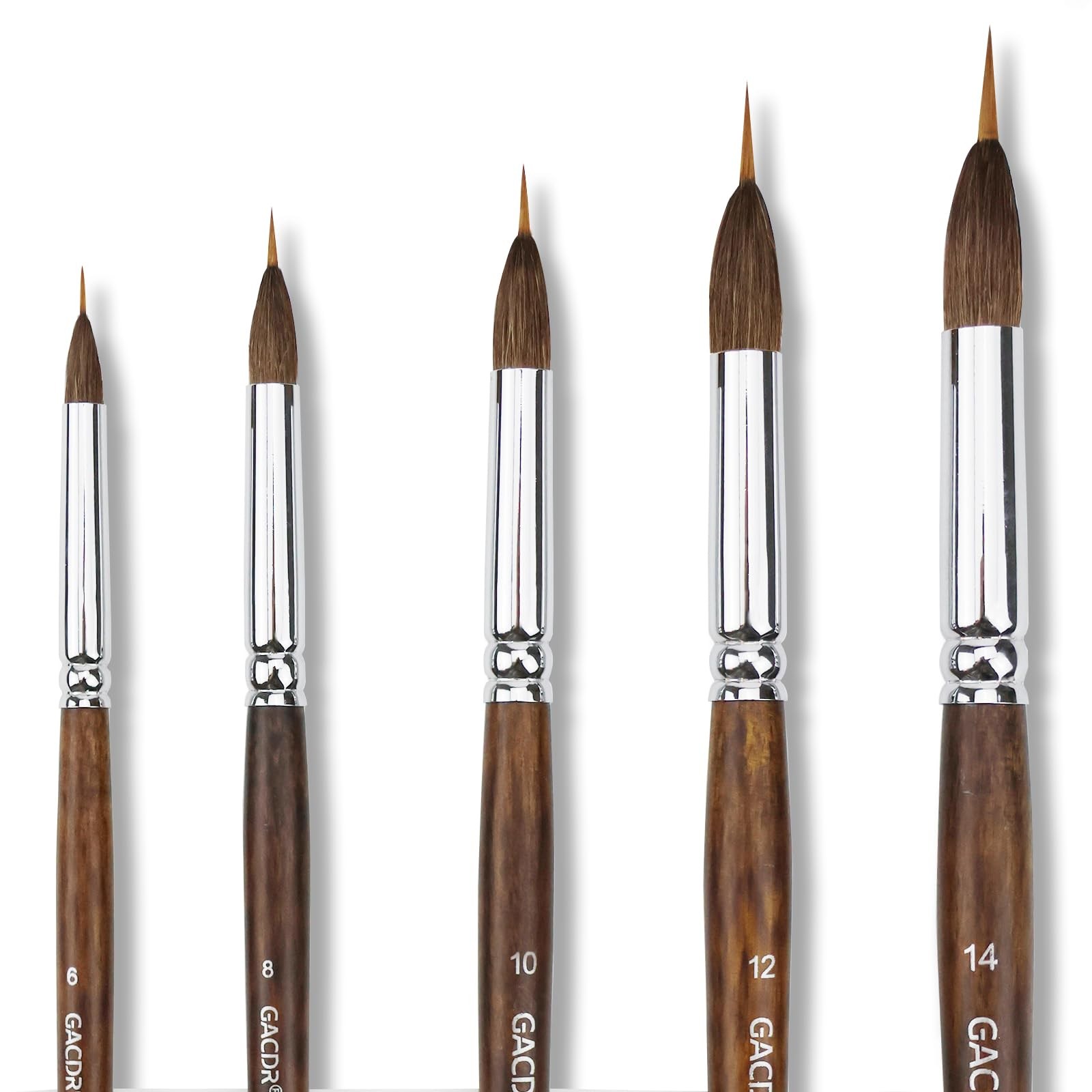 Brushes Set - 5Pcs Extended Needle Point Artist Paint Brushes Professional Li...