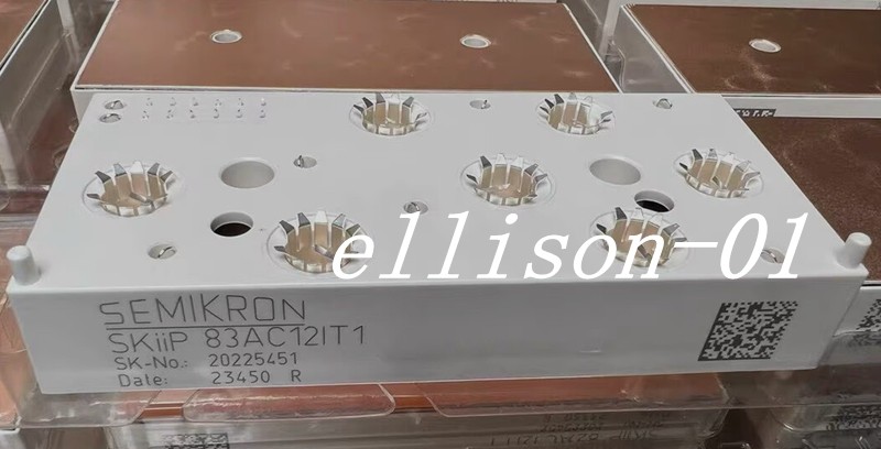 1PC New SEMIKRON SKIIP83AC12IT1 Power module