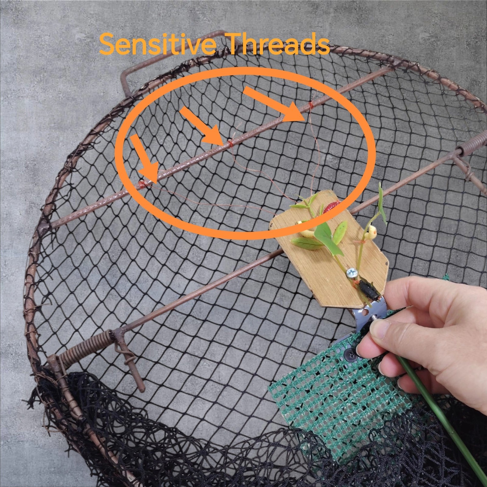 Oval Smart Bird Trap Net – Humane Catching Cage for Sparrows, Pigeons & parrot