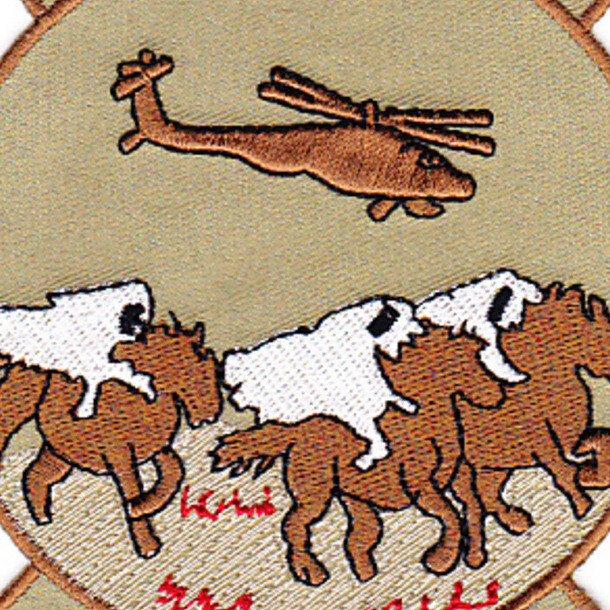 1st Battalion 1st Aviation Regiment C Company Patch