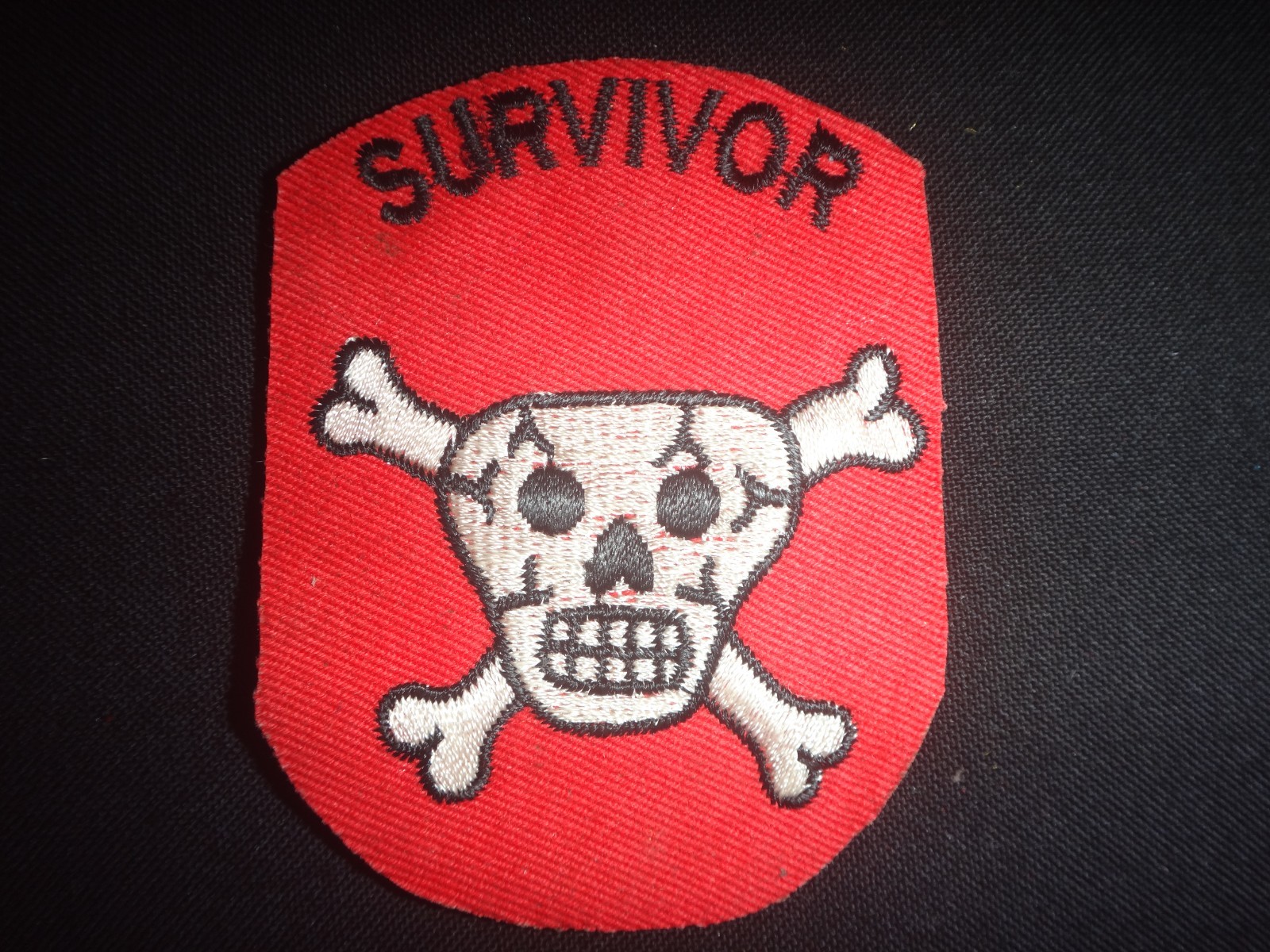 Vietnam War US Special Forces Skull & Crossed Bones SURVIVOR Patch