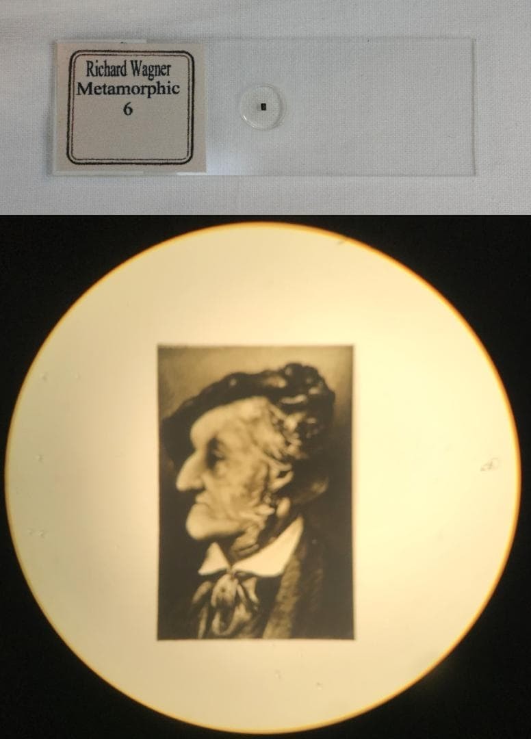 Antique Microscope Slide Set Metamorphic Bismarck Bernhardt Picasso Wagner c2001