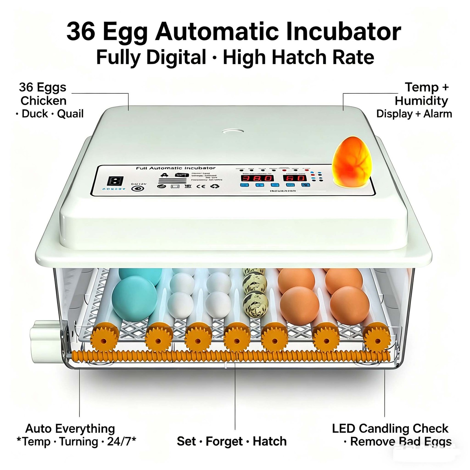 36 Eggs Auto Digital Incubator Temperature Control Turning Chicken Poultry Bird