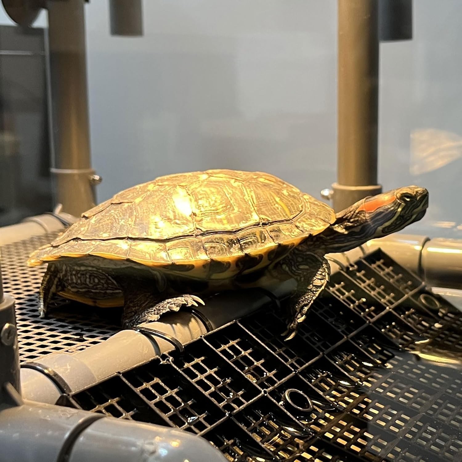 Extra Large Hanging Turtle Basking Platform 19 Inch Wider Dock Ramp Floating