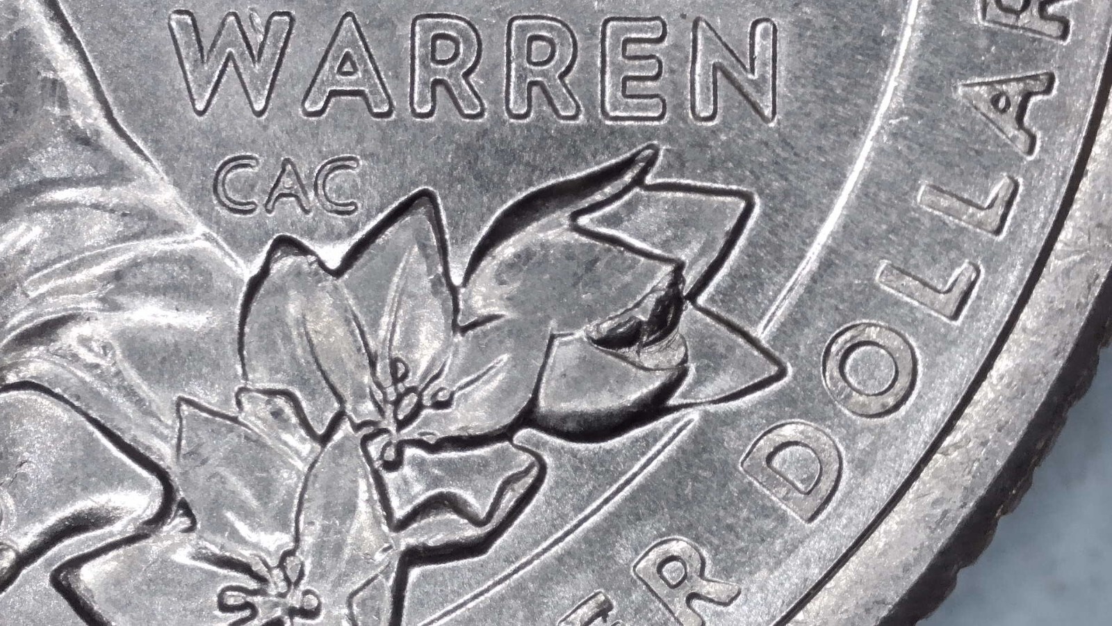 Warren 2022 P State Quarter Die Break in Yucca Flower. Mint Error. T214