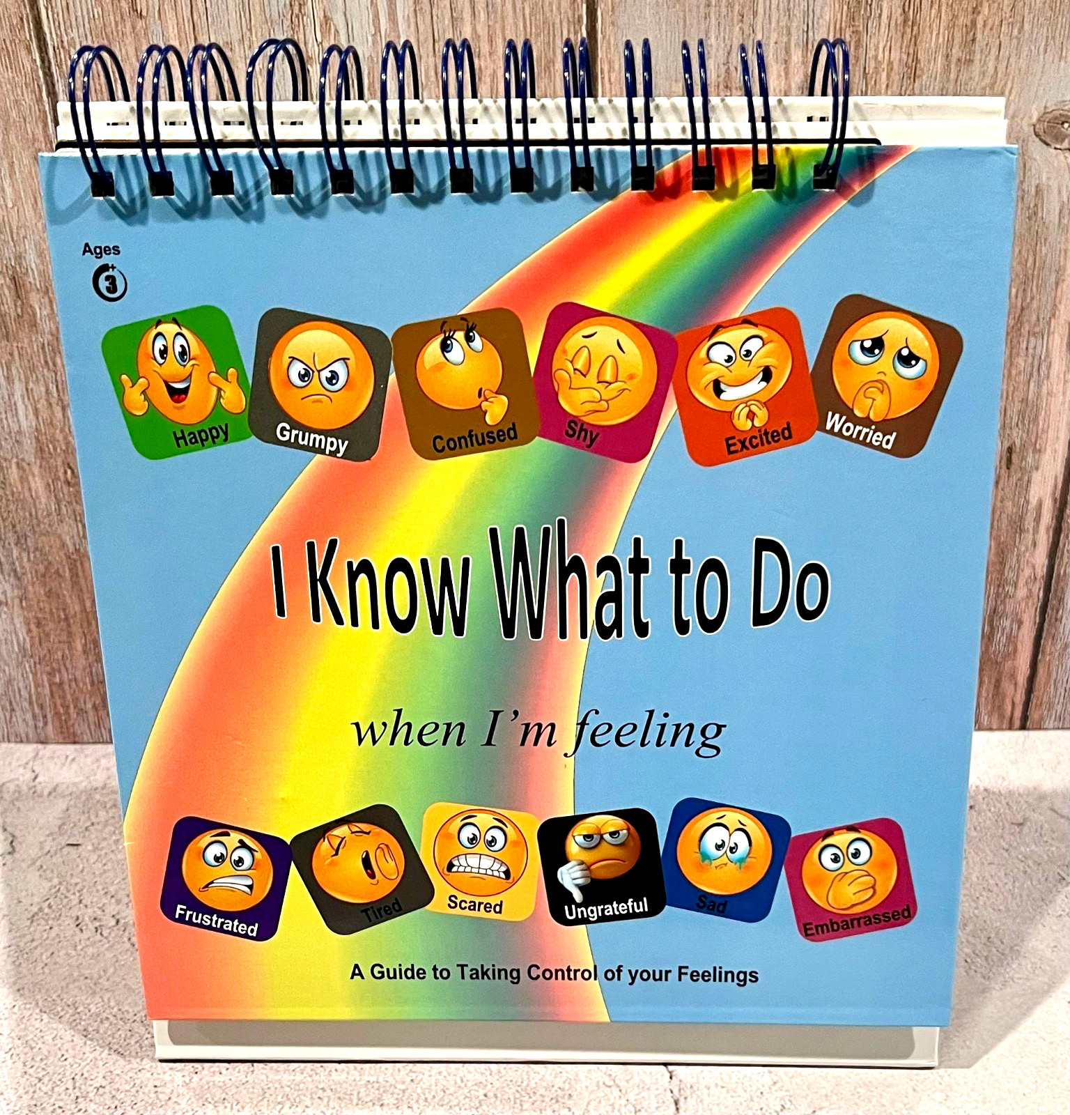 I Know What To Do When I'm Feeling... Emotions Chart Guide Stand Up Flip Book
