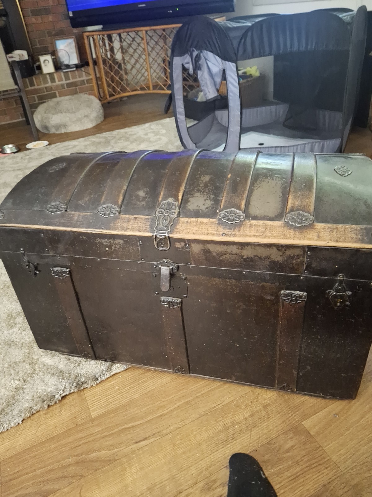 Vintage Barrel-Top Wooden Trunk Chest, Brown, Metal Hardware 26-35in