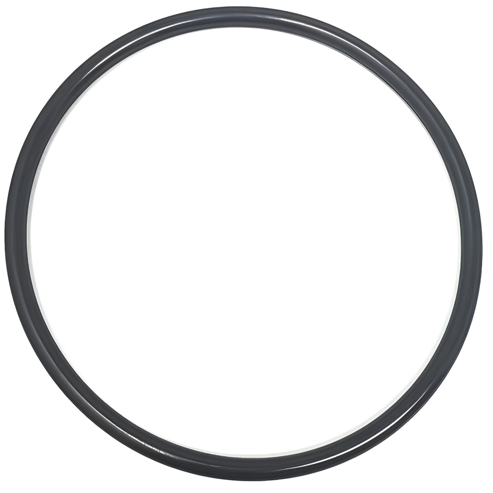 Swimming Pool Pump Lid Cover O-Ring Sta-Rite Dura-Glas Max-E-Glas U9-229 O-218