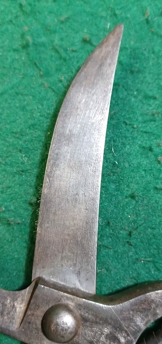 Vtg "Rare" SMF Solingen Stocker Germany Poultry Shears