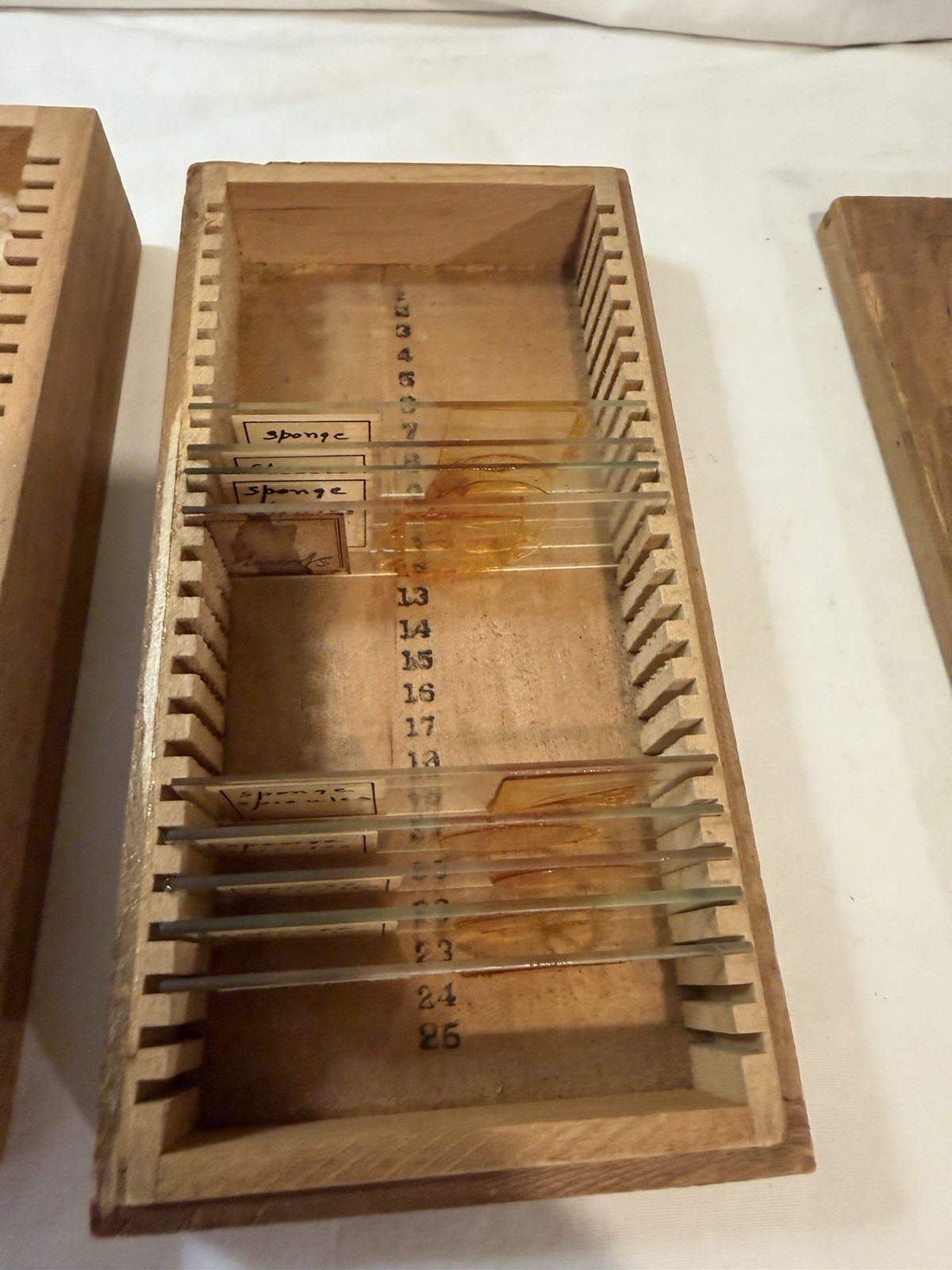 Vintage Microscope Medical Lab Slides