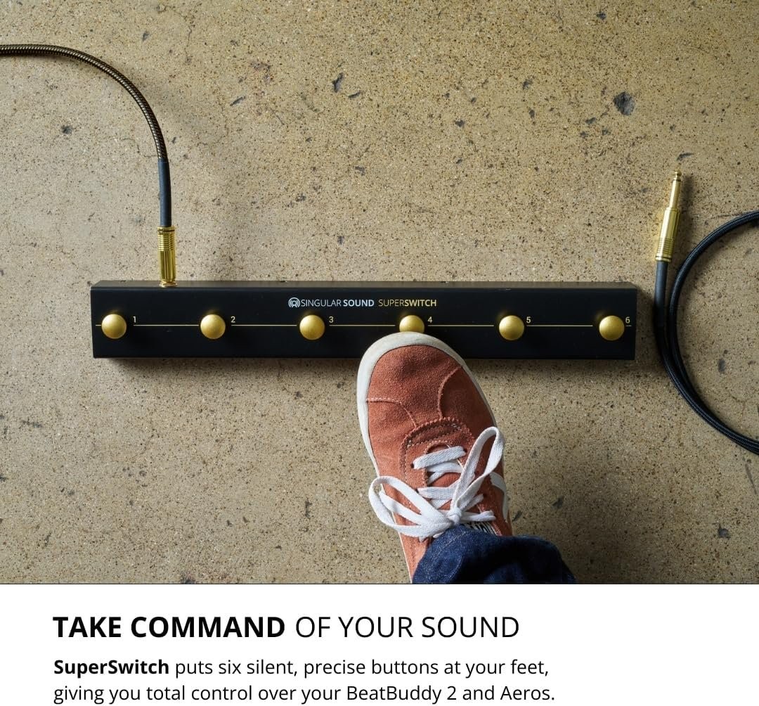 Singular Sound SuperSwitch