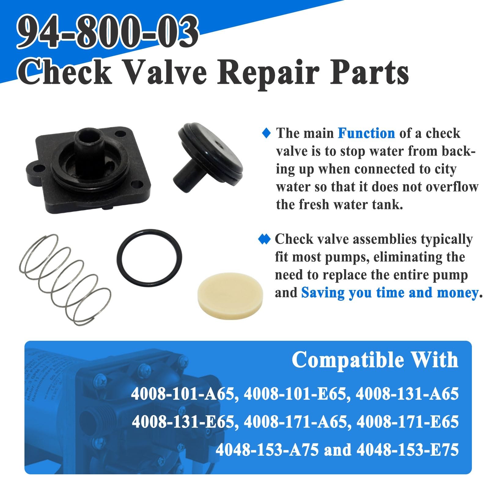 with Gaskets for 4008 Pump Check Valve Model