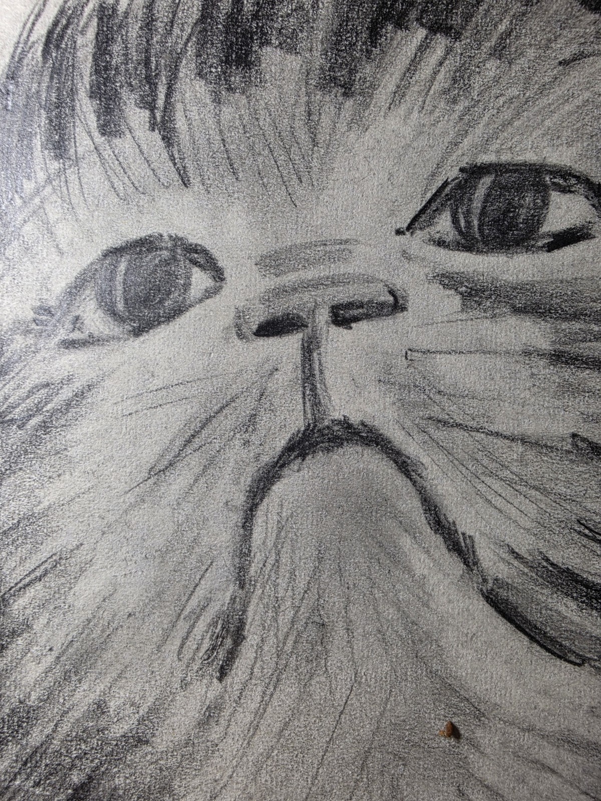 Original Hand-Signed Kitten Pencil Sketch – Realistic Graphite Animal...