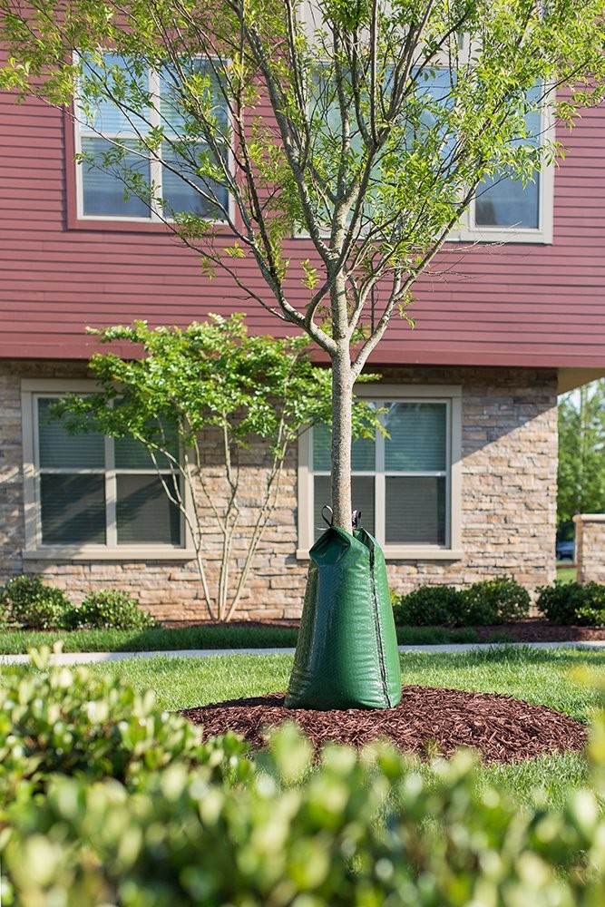 TreeGator Tree Watering Bag - Pack of 5