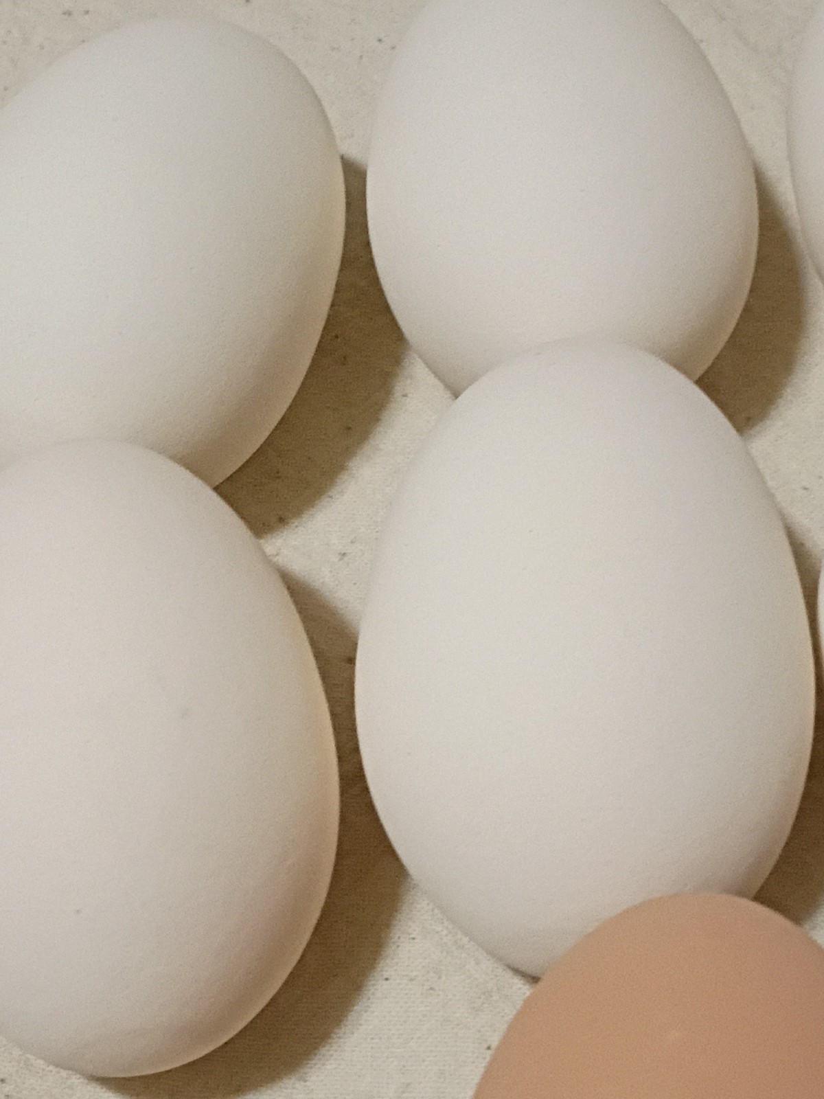 Set Of 10 Polymer Chicken Eggs B9