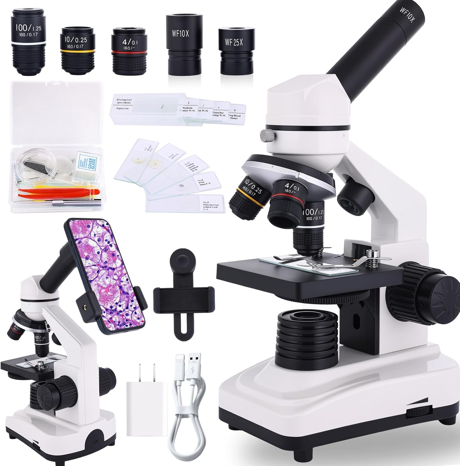 Microscopio con kit de portaobjetos para estudiantes laboratorio escolar en casa