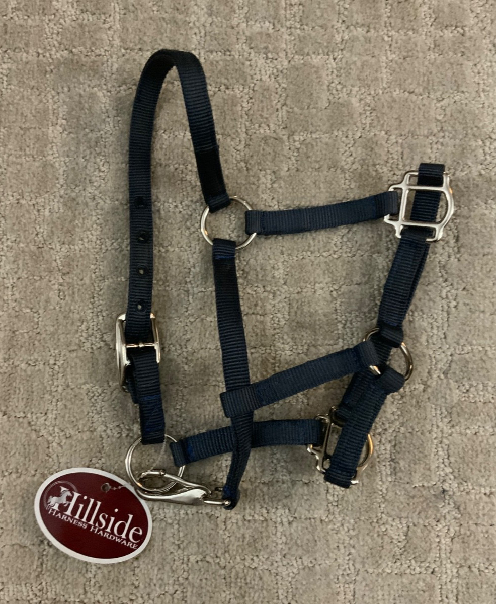 HORSE HALTER -HILLSIDE