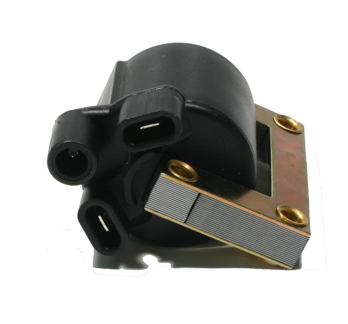 Ski-Doo Elan 250, 1975-1996, External Ignition Coil