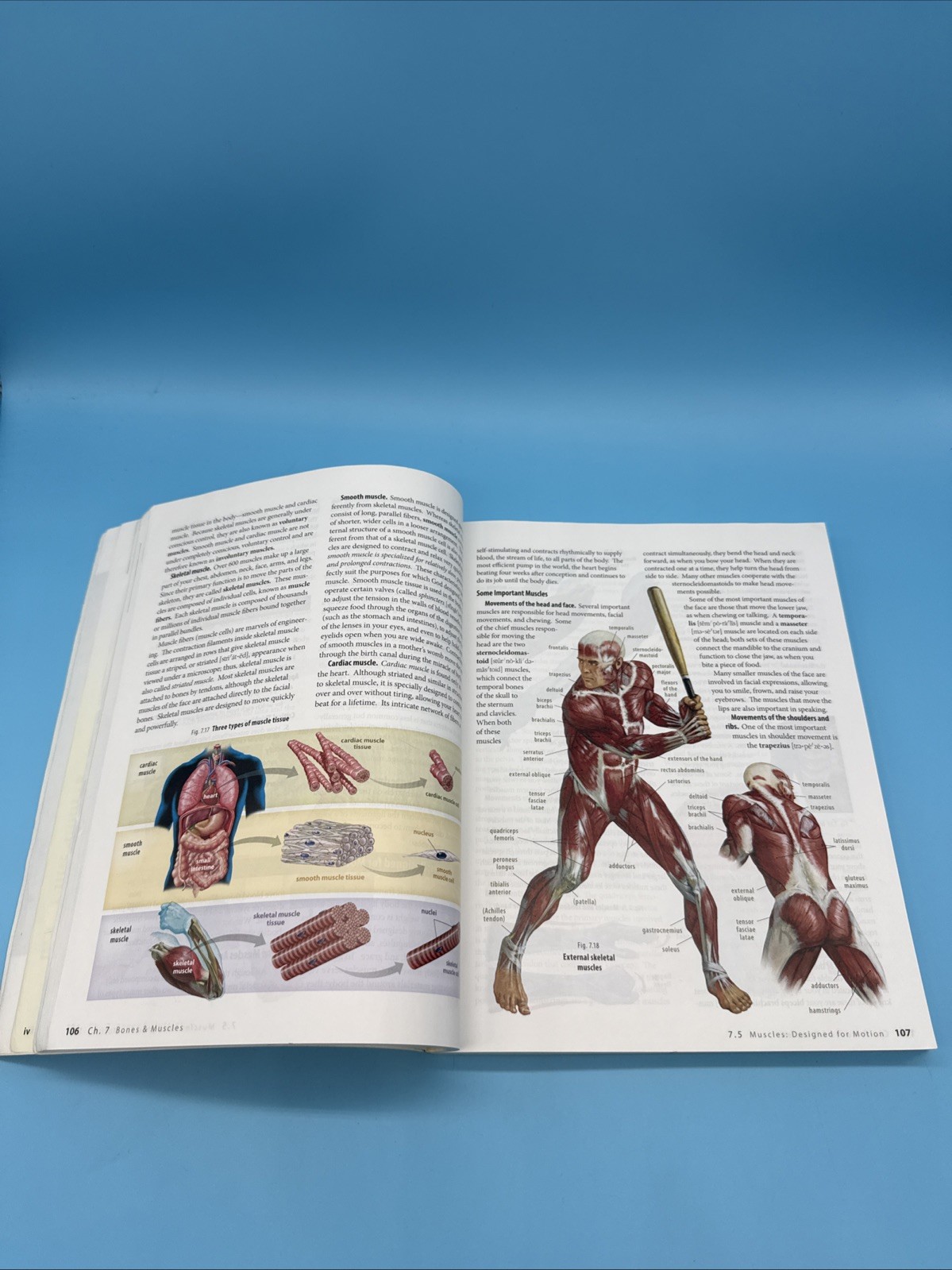 ABeka Biology Student Text (4th Edition) 10th Grade Science