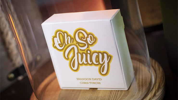 OH SO JUICY GIMMICK & ONLINE INSTRUCT. BY BRANDON DAVID & CHRIS TURCHI GUM TRICK