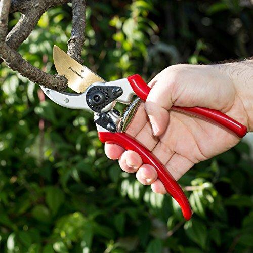 ClassicPRO Titanium Pruning Shears - Best Tree Trimmer, Garden Shears, Hand